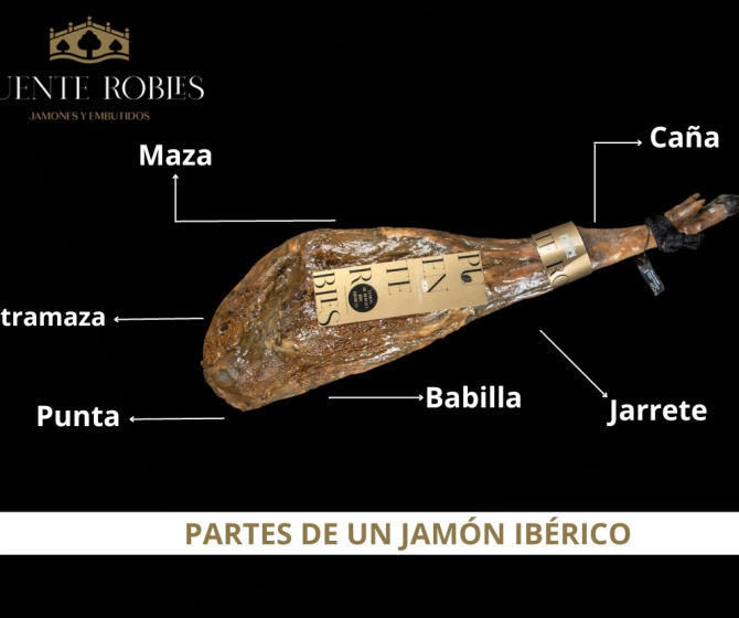 How to cut an Iberian Ham? Step by Step Guide